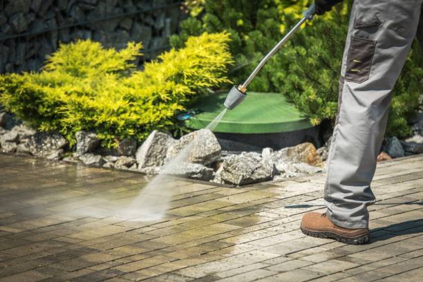 Best Roof Washing  in Magnet Cove, AR