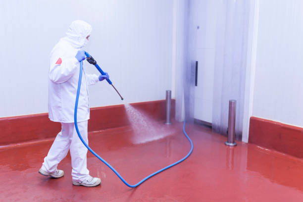 Best Paint Preparation  in Magnet Cove, AR